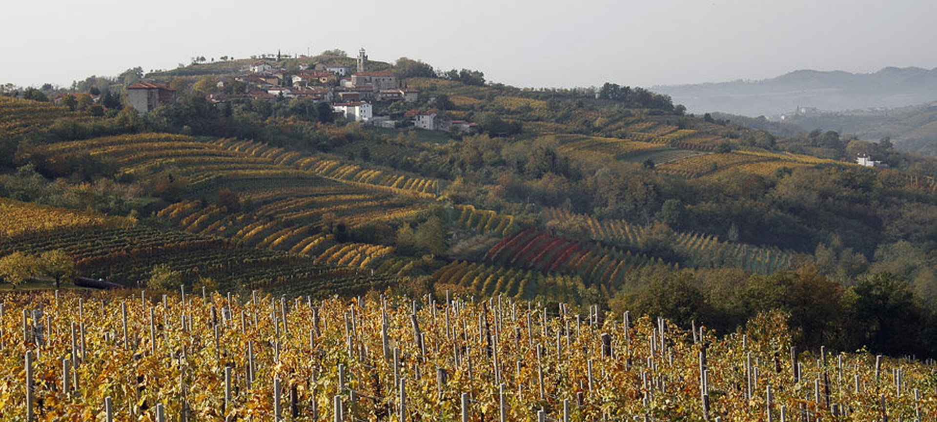 Jesenski vinogradi by Kostja Prinčič