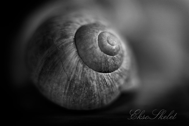 eksoSkelet II by Kostja Prinčič