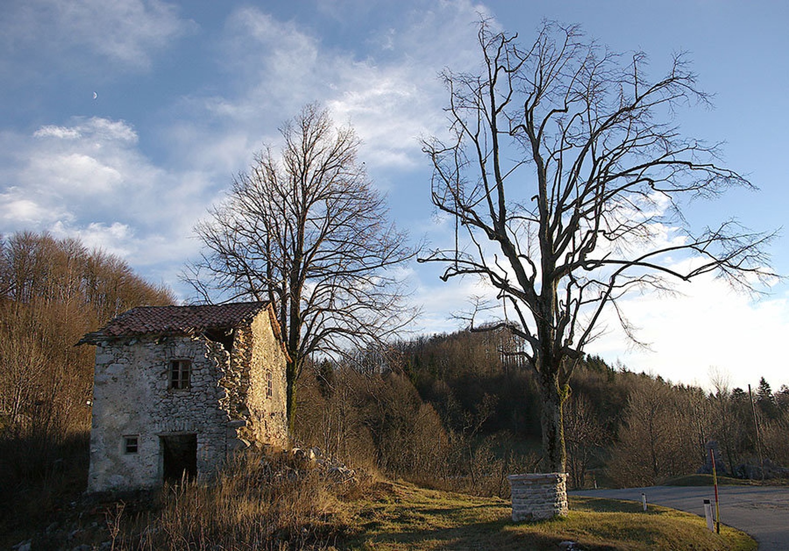 Še stojim - Zadnji žarki pred nočjo by Kostja Prinčič
