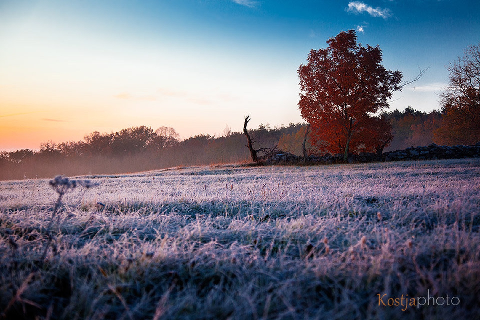 kraško jutro by Kostja Prinčič