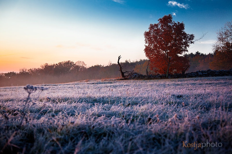 kraško jutro by Kostja Prinčič