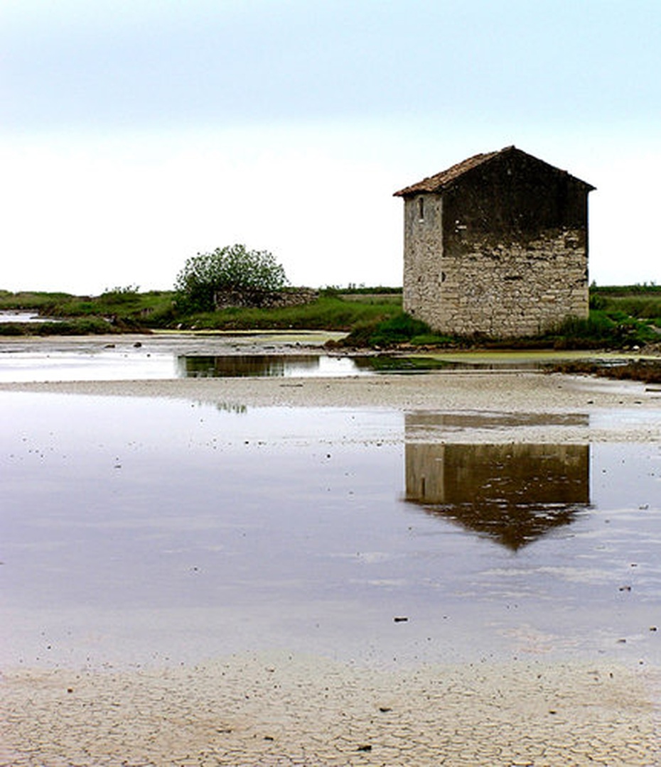 Soline by