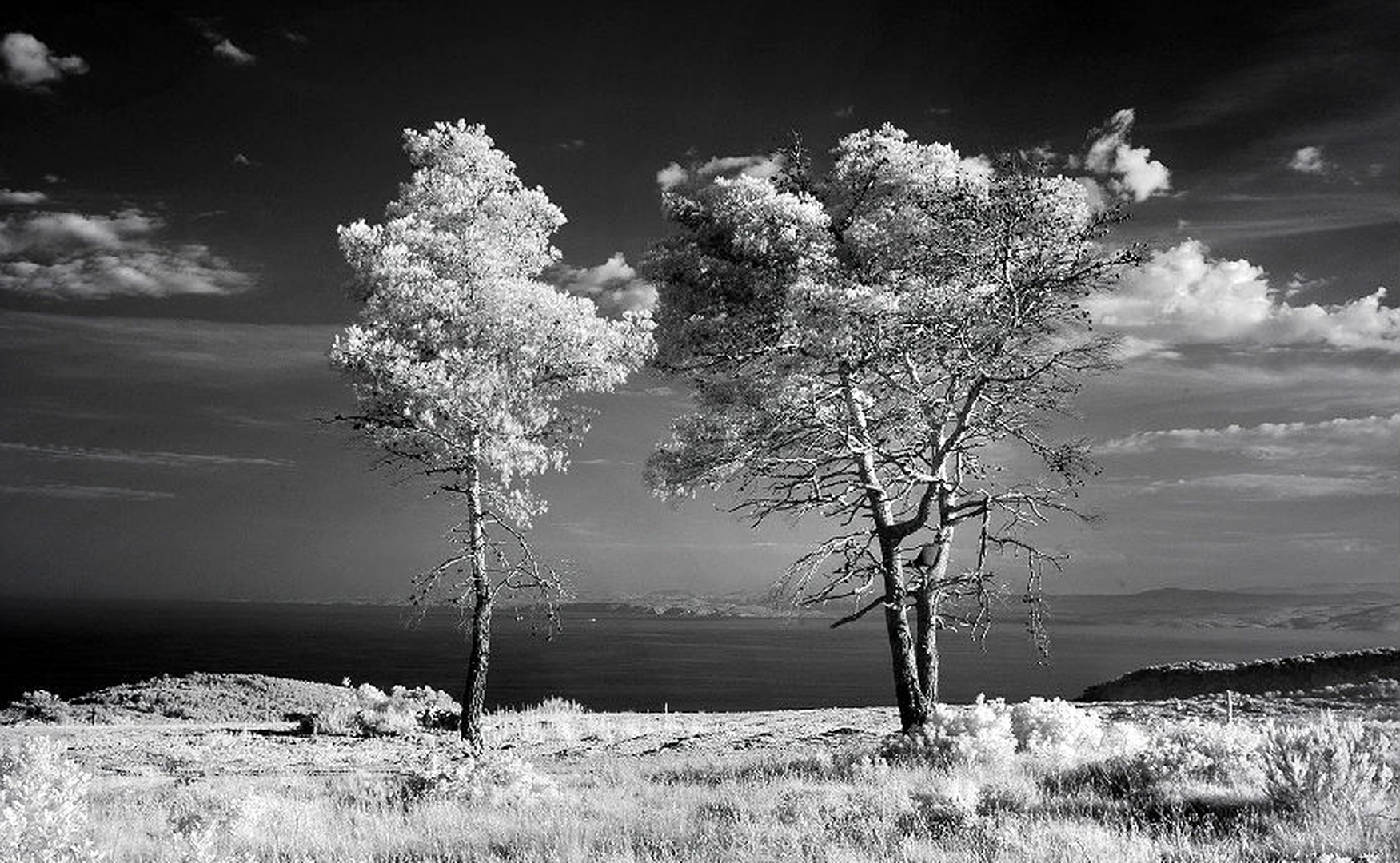Hvar3 by