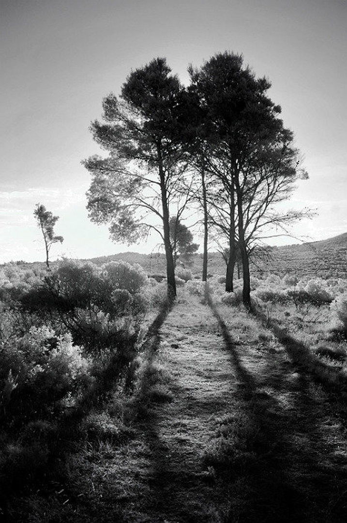 hvar5 by