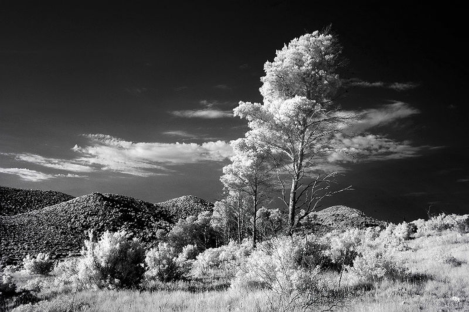 hvar6 by