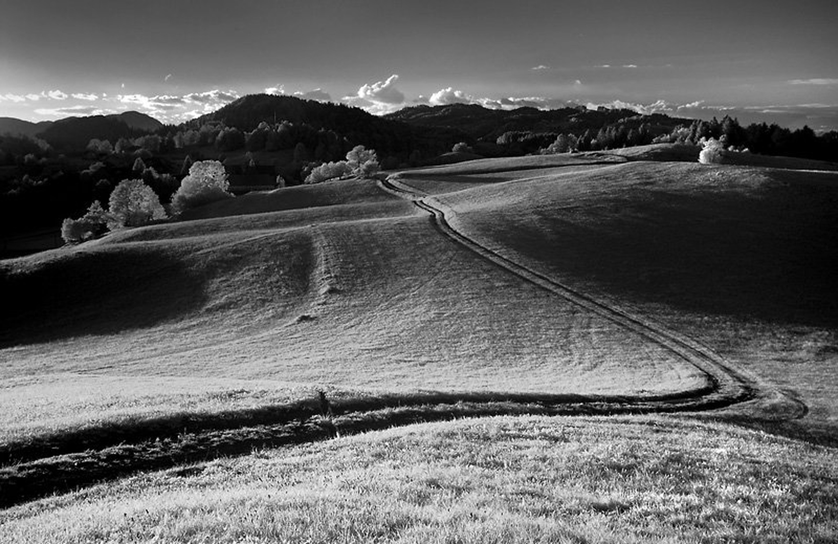 Vrsnik by