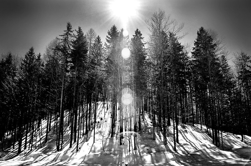 Radovna by Wartburg