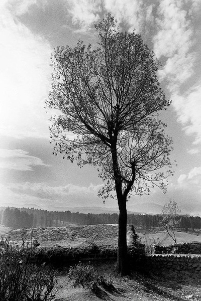 Vznožje Himalaje by Wartburg