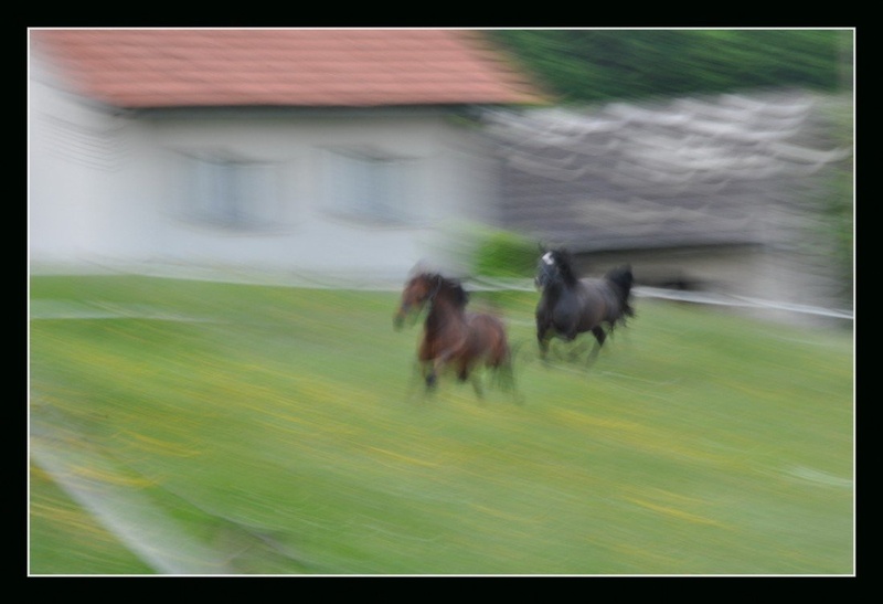 Supersonični galop by svaba