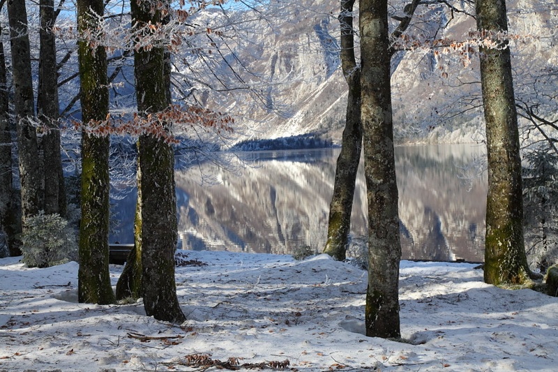 Bohinj by Andrej Marin