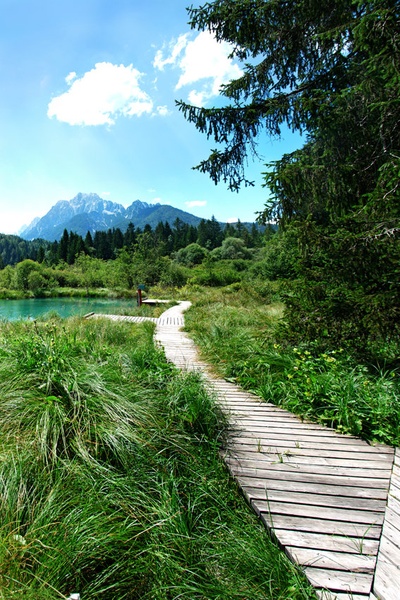 Zelenci by Jerc