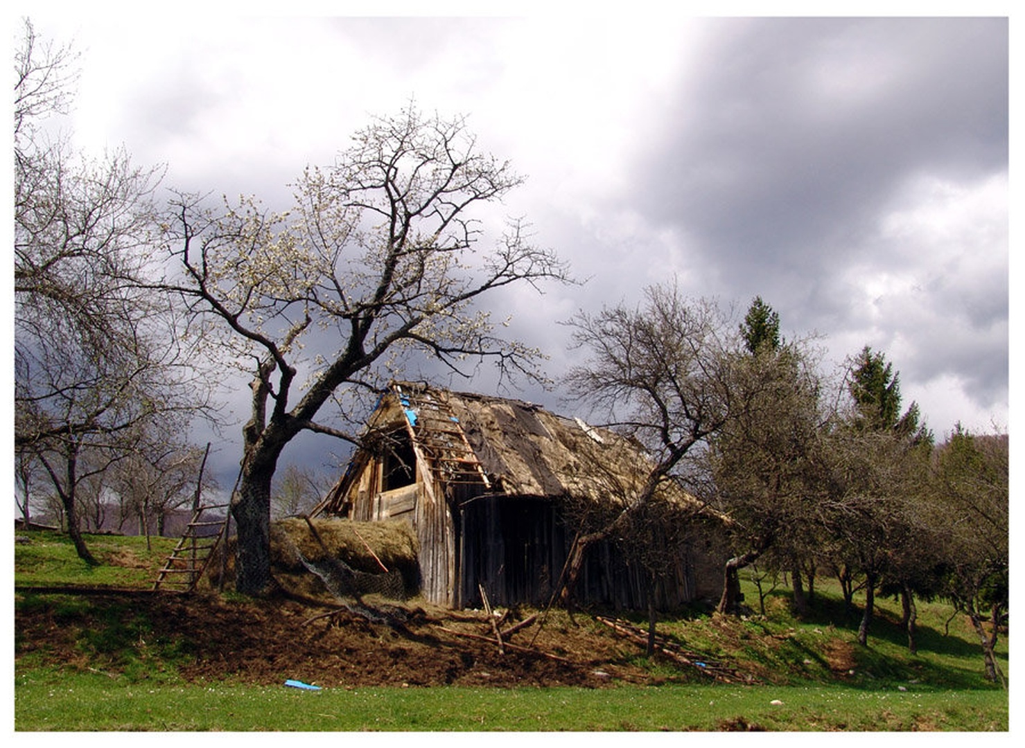 STRAČARA by
