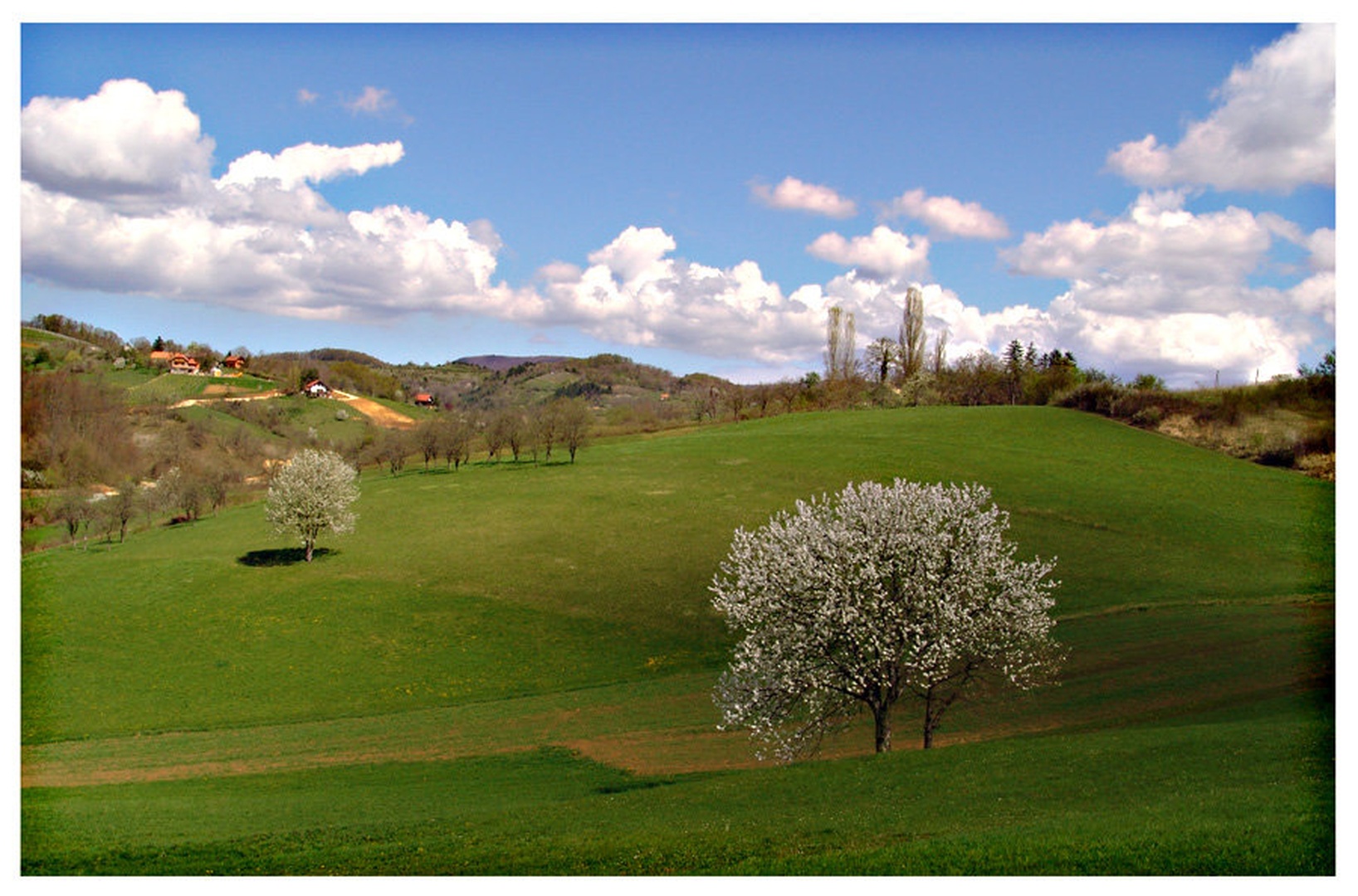 Priroda by