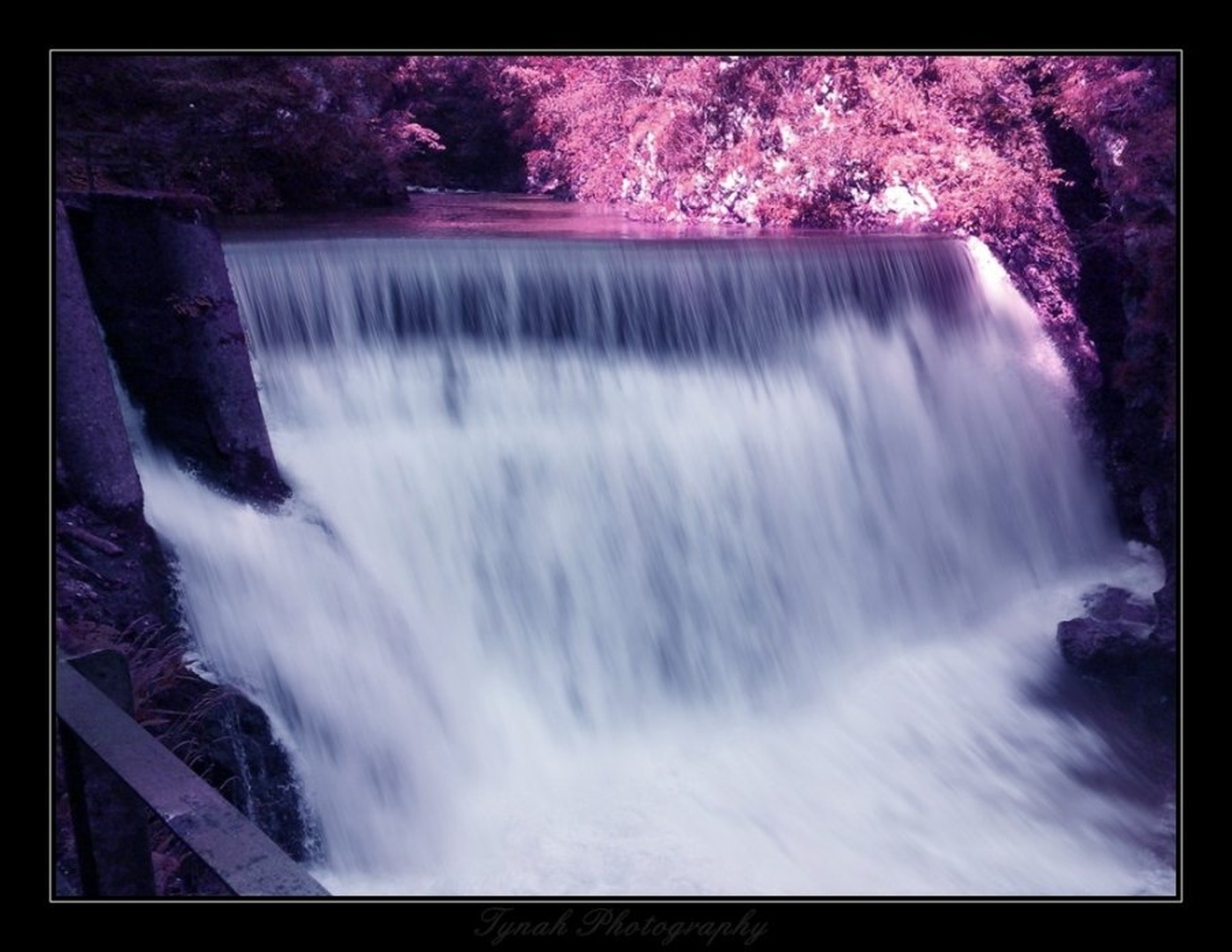 Ultraviolet by Tina Cink
