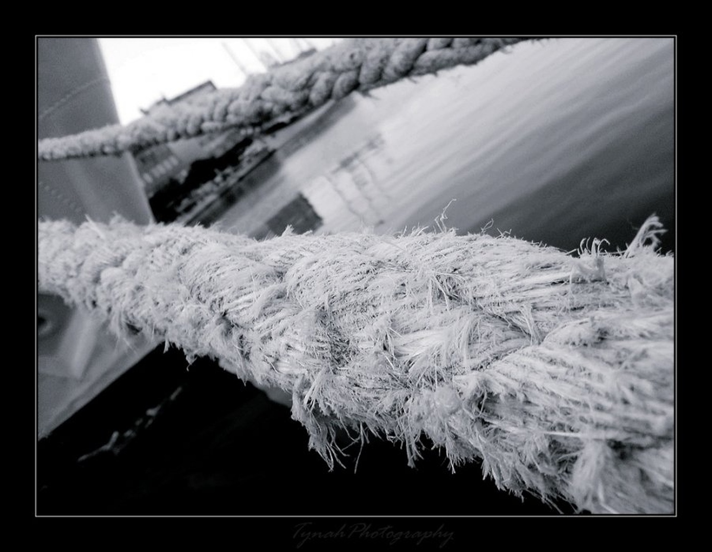 “They have been grand-jurymen since before Noah was a sailor” by Tina Cink