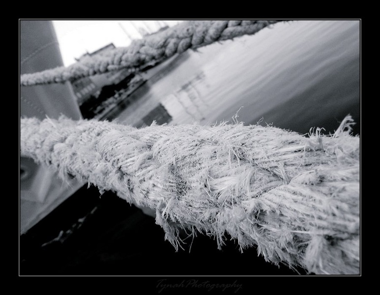 “They have been grand-jurymen since before Noah was a sailor” by Tina Cink