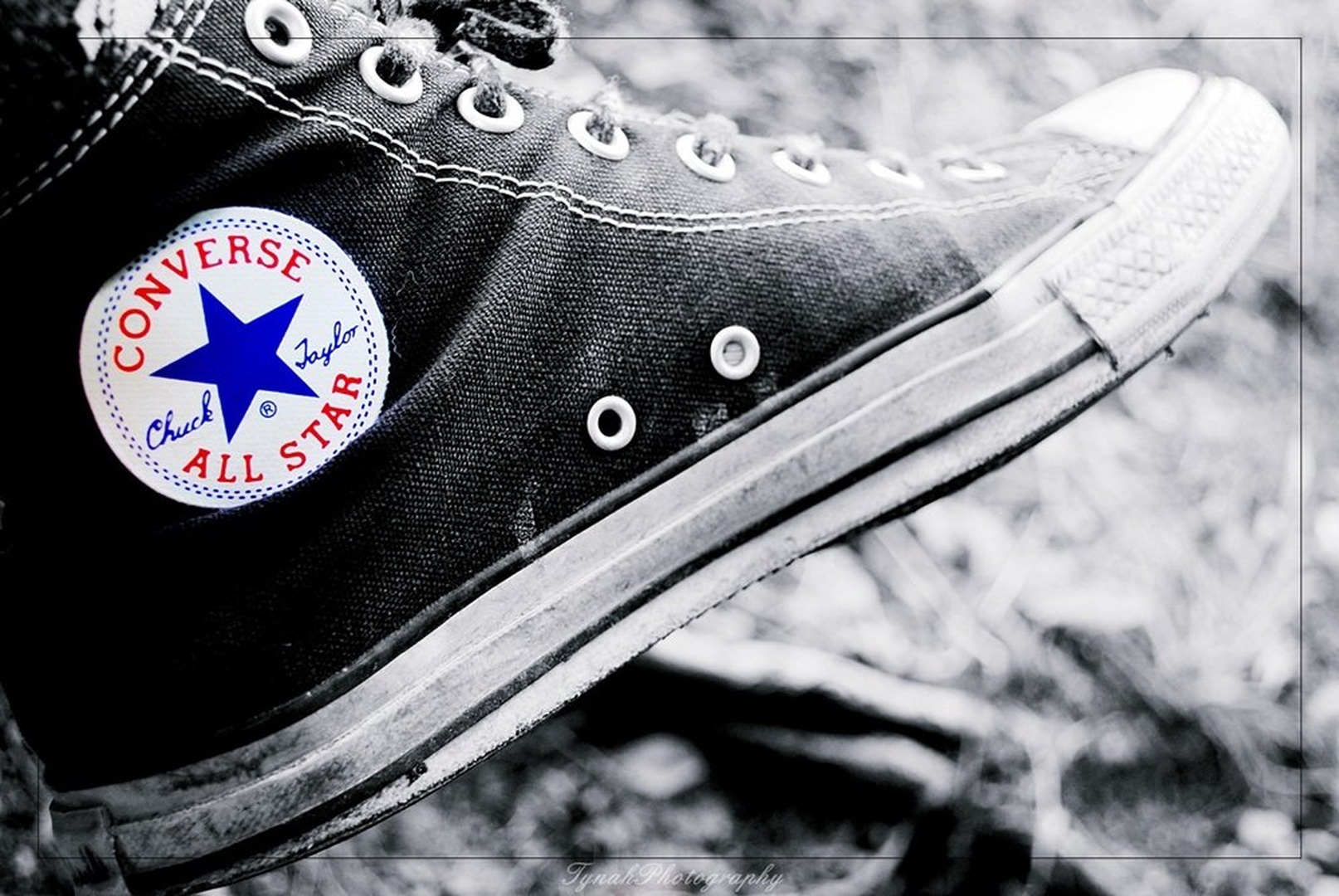 All Star Converse by Tina Cink