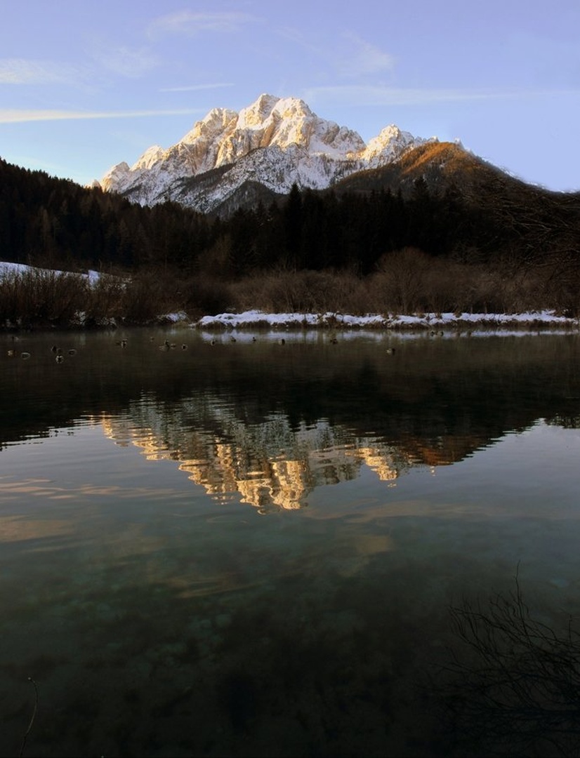 Zelenci by roman bor