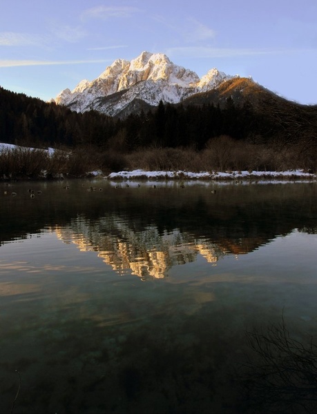 Zelenci by roman bor