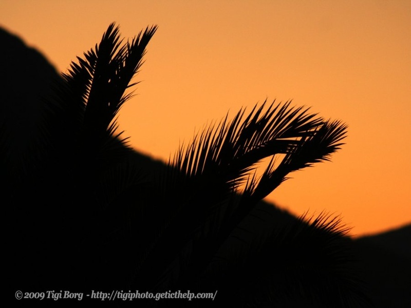 Signs_of_Light by Tigi Borg