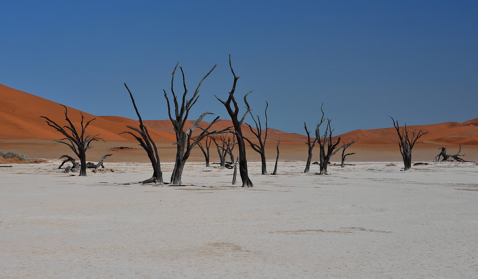 Deadvlei by davorin munda