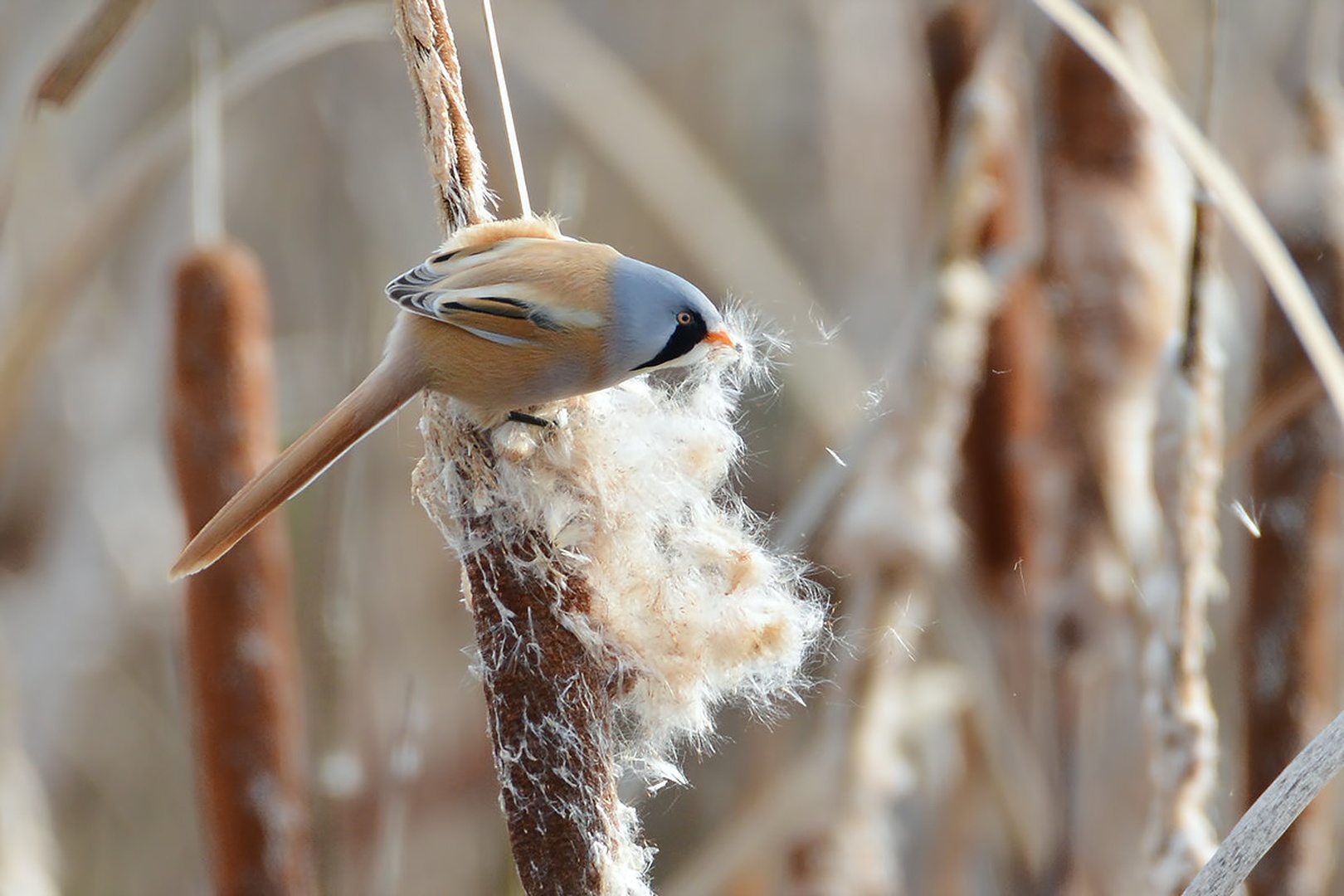 Moj svet by davorin munda