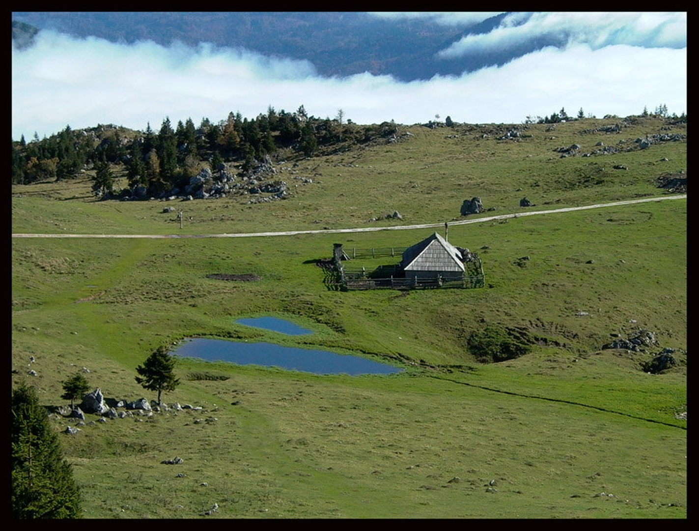 M_planina by