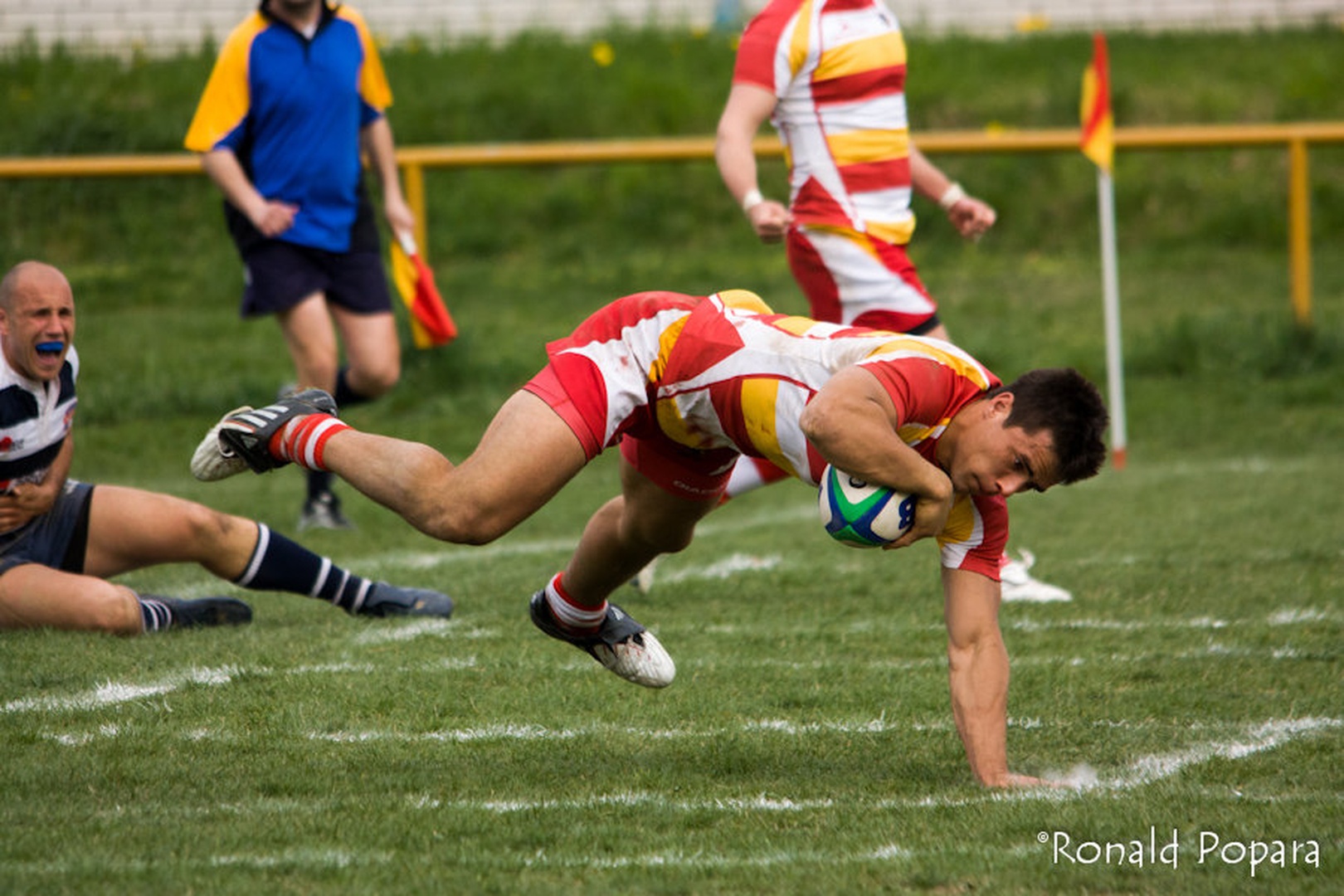 Rugby by Ronald Popara
