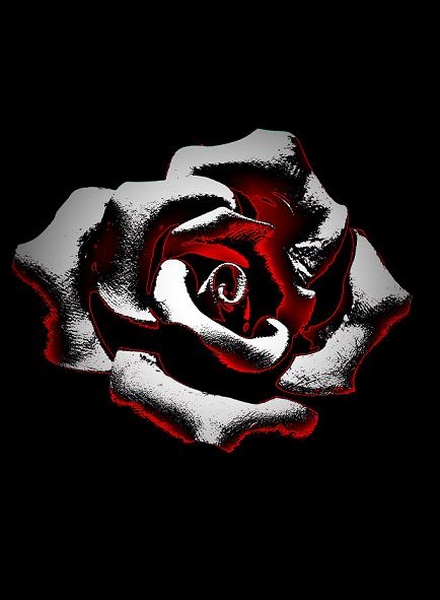 stone rose by thumbbass