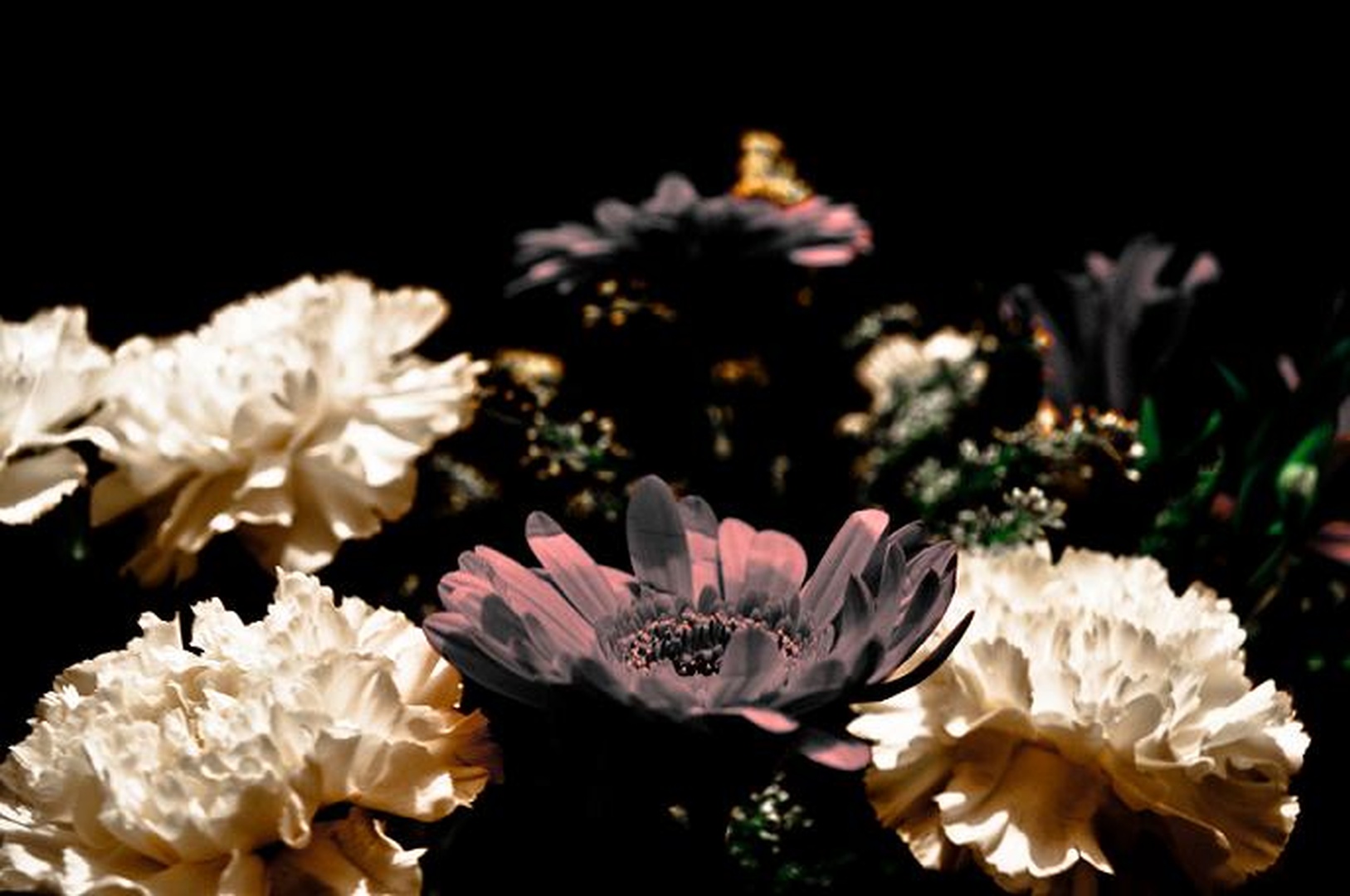 flower power by