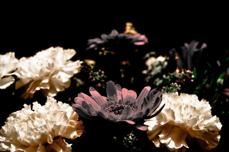 flower power by thumbbass