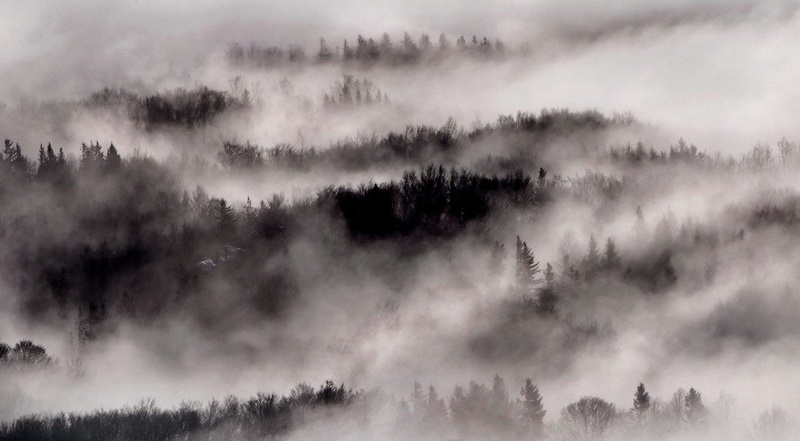 FOG by miran krapež