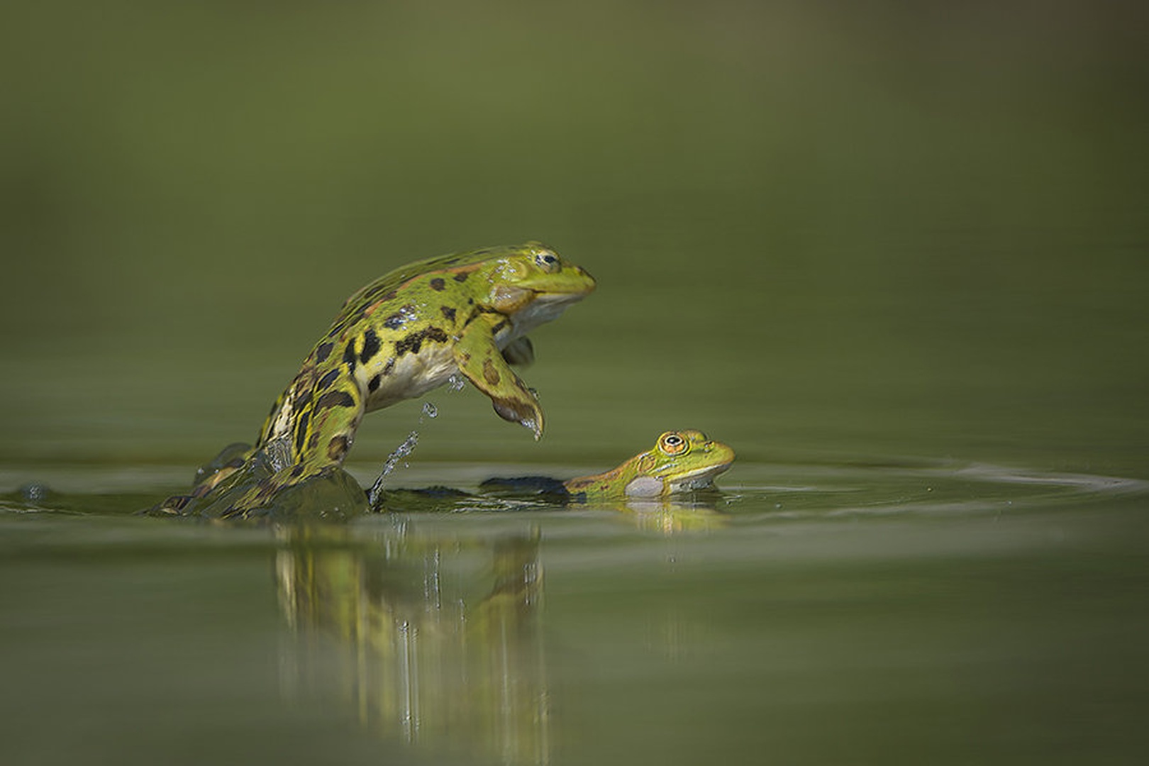 ZDEJ MI PA NE UIDEŠ ... by miran krapež