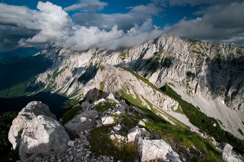 Pogled by Niko Teran