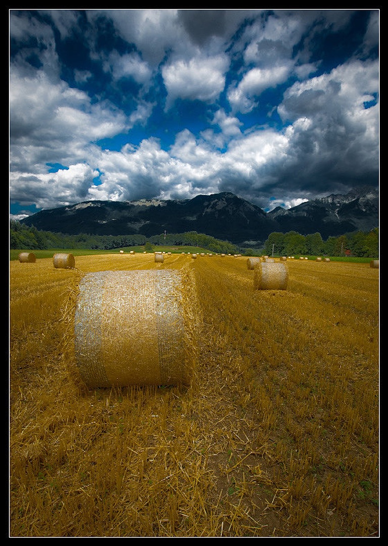 Bale by Niko Teran