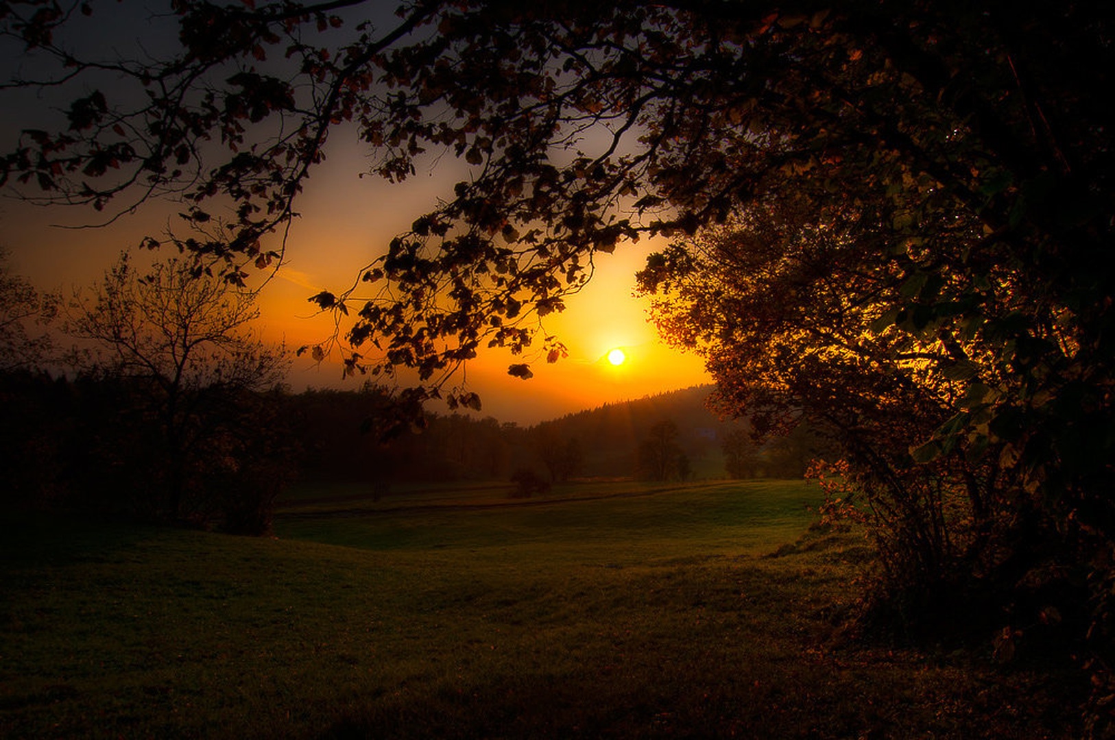 Sonce by Niko Teran