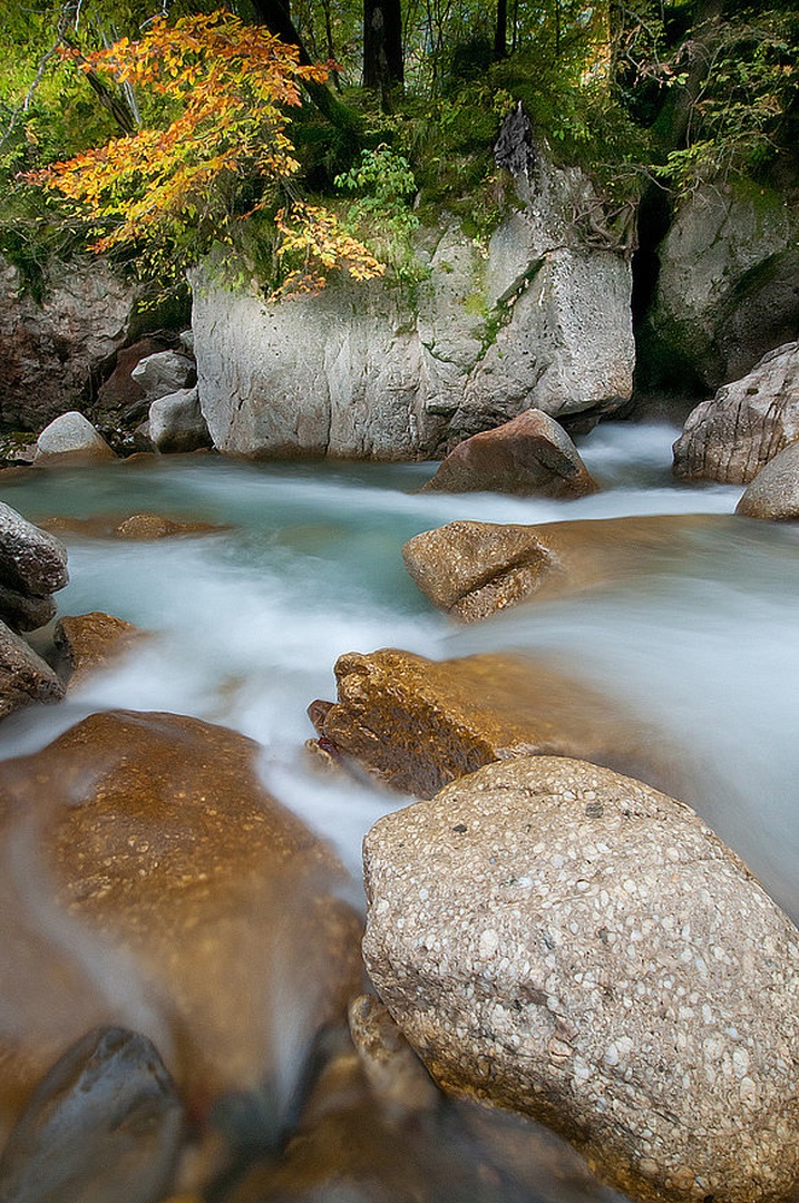 .... by Niko Teran