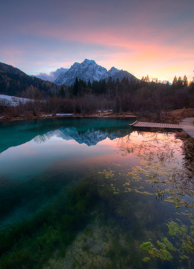 .... by Niko Teran