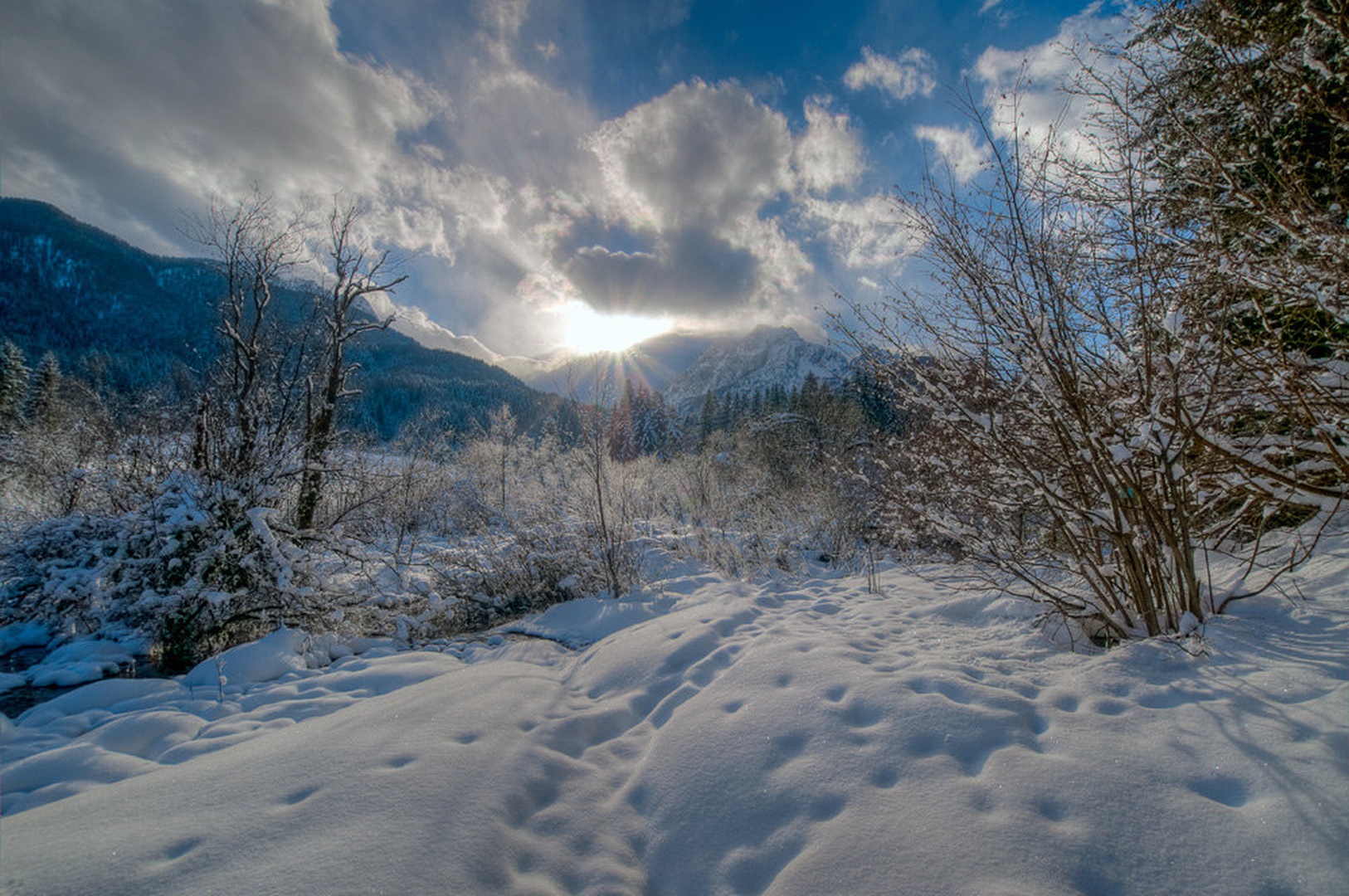 ... by Niko Teran