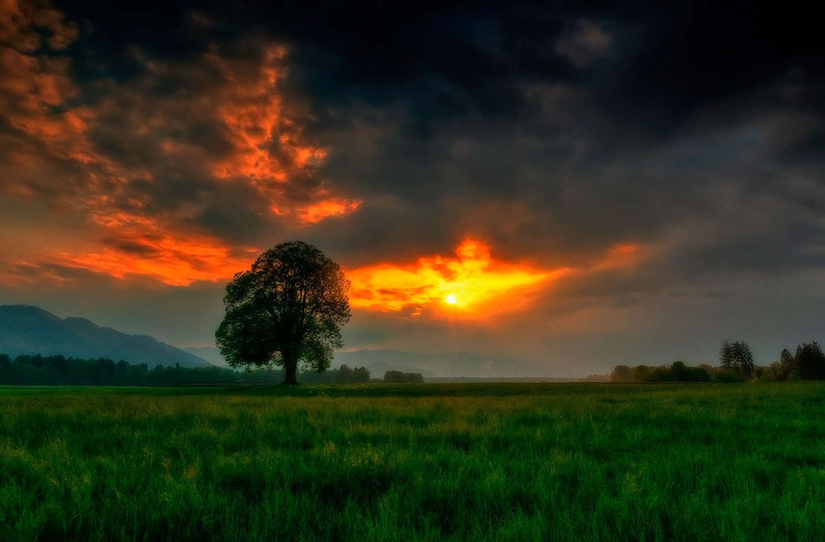 Land of dreams by Niko Teran