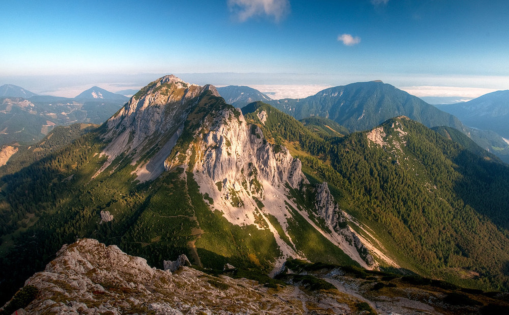 Pogled na Košutico by Niko Teran