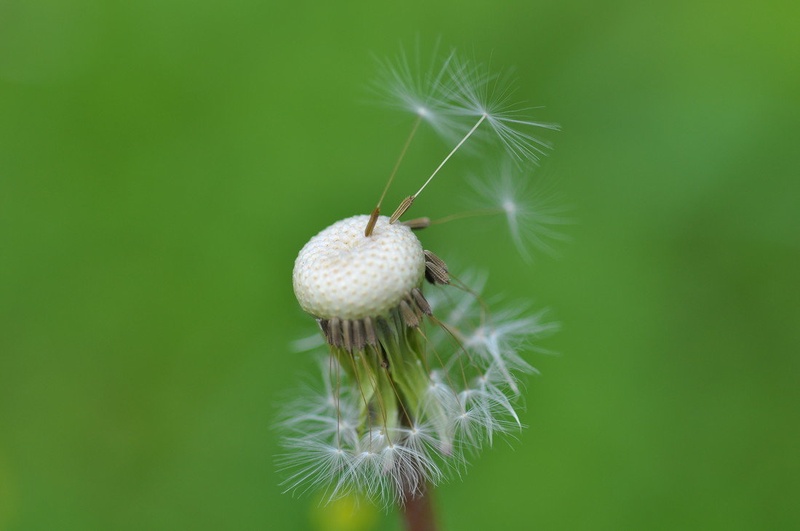 uporni by mitja.a.
