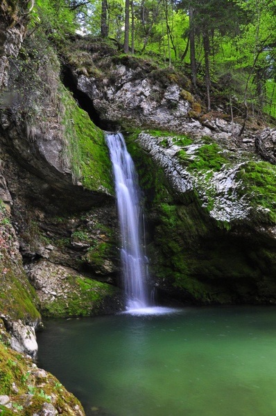 slap grmečica by mitja.a.