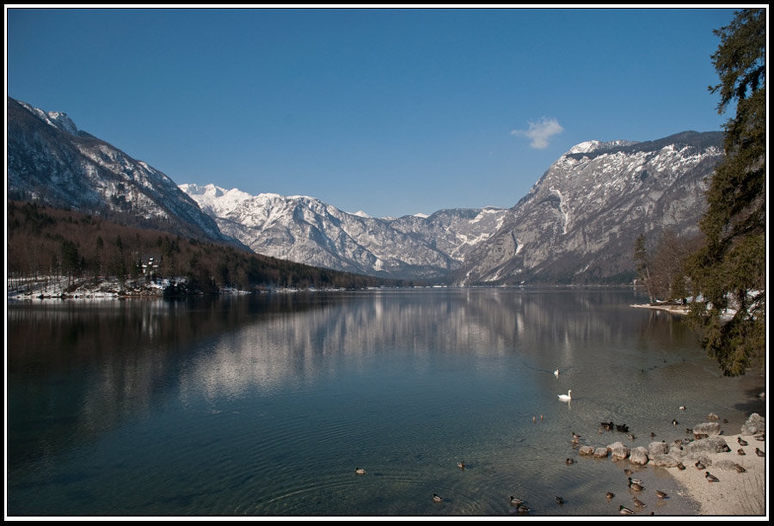 Jezero by