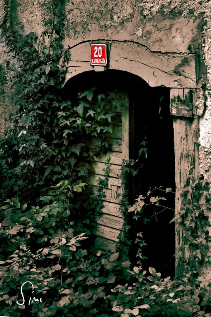 hiša št. 20 by Zvone Lavrič