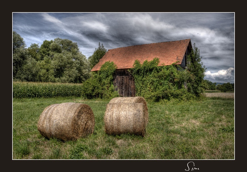 lopa na marostu by Zvone Lavrič