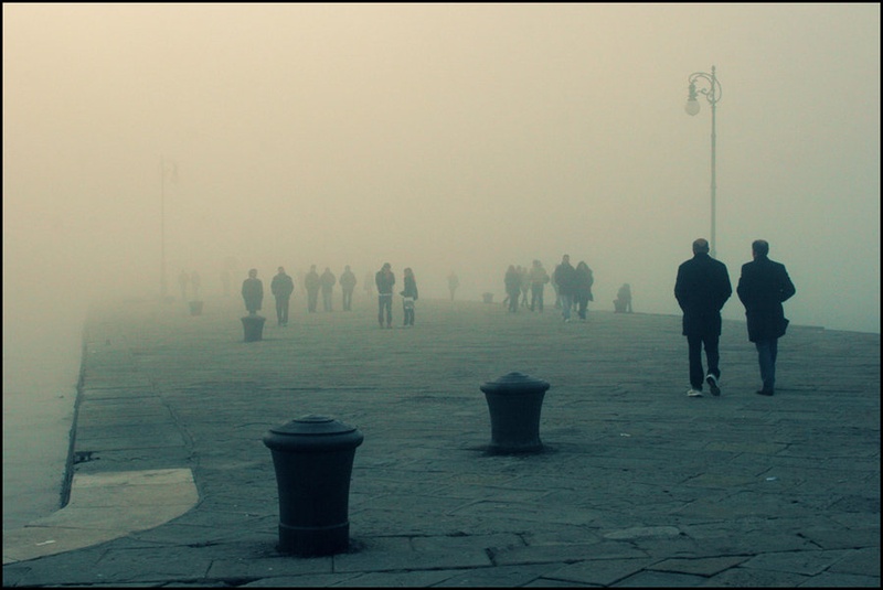 The Fog by Robert Rob