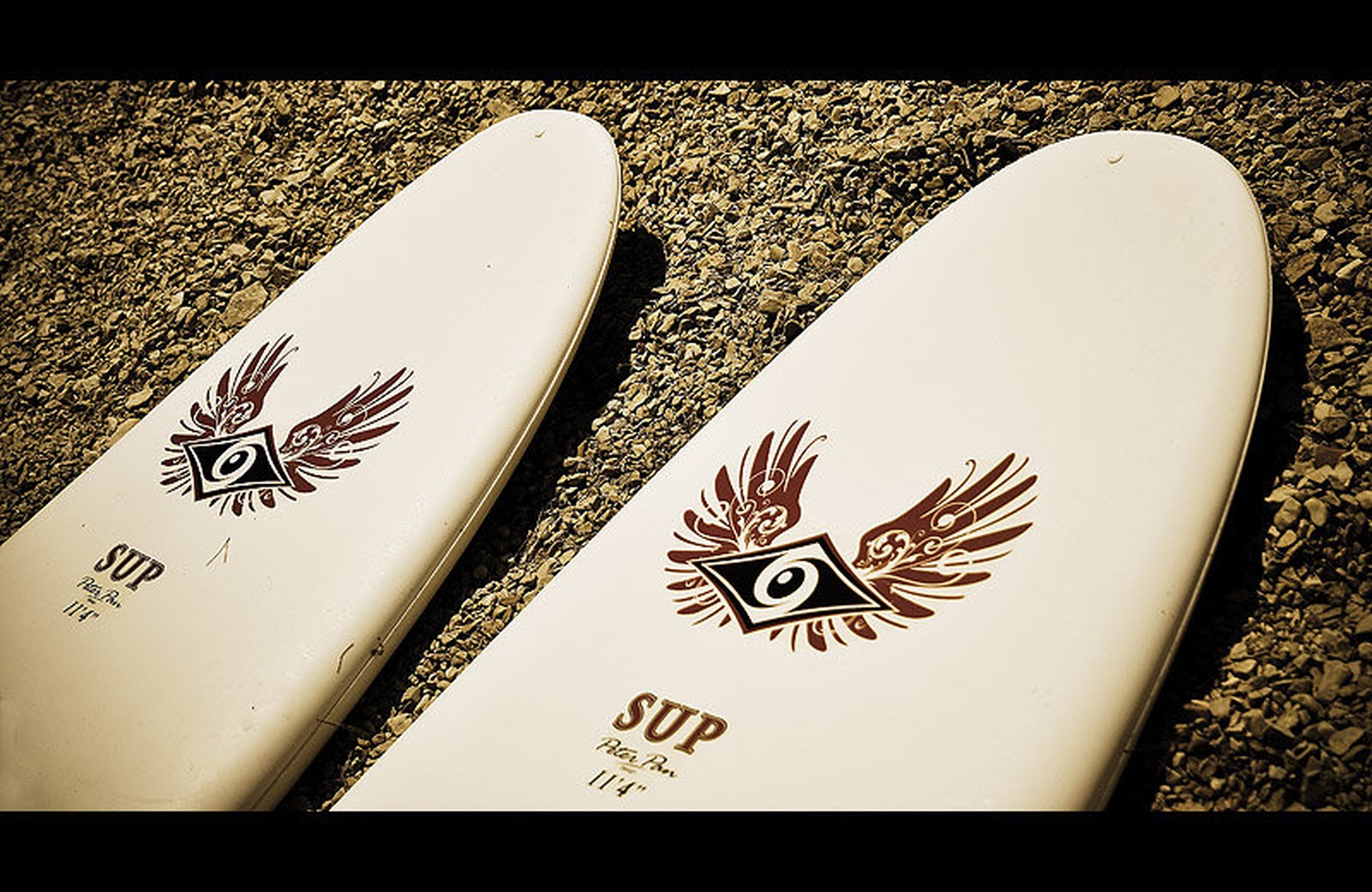 Surfing by
