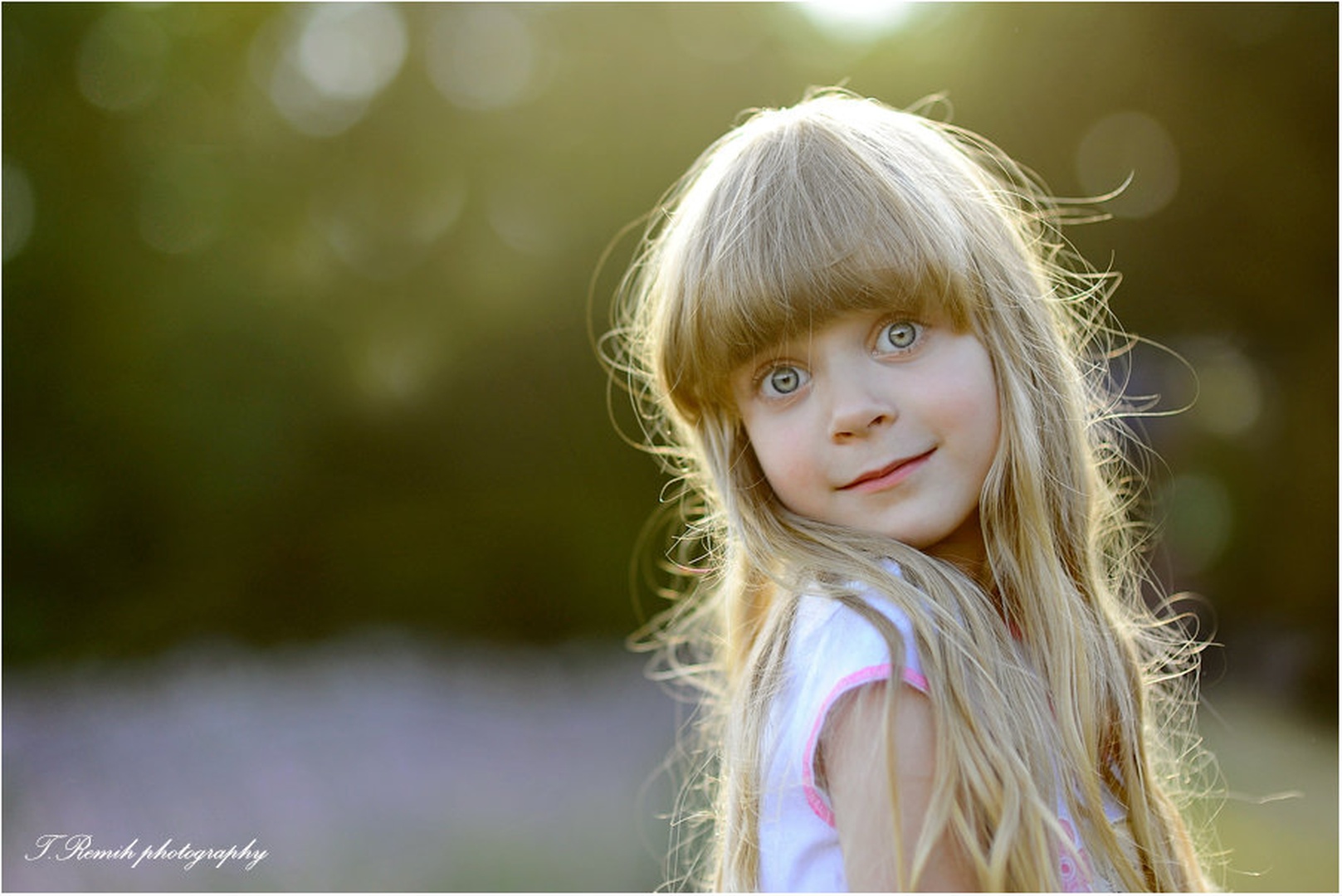 Sonce v laseh by