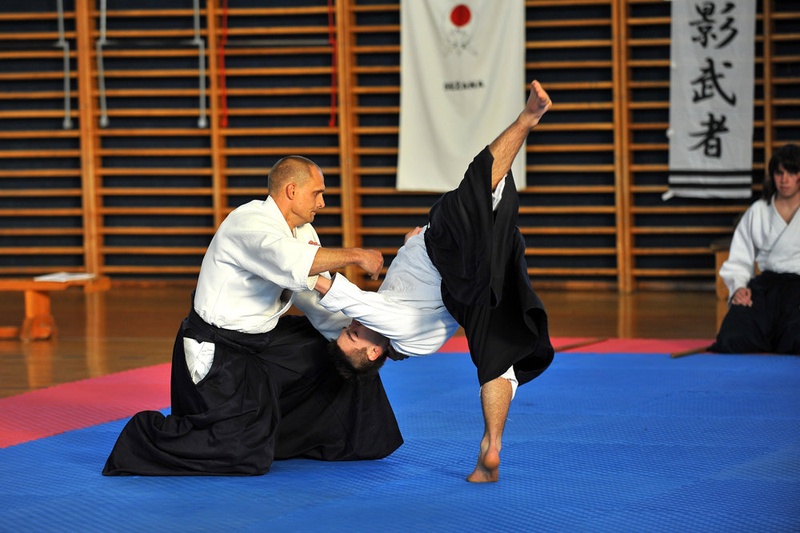 Aikido by analuka09